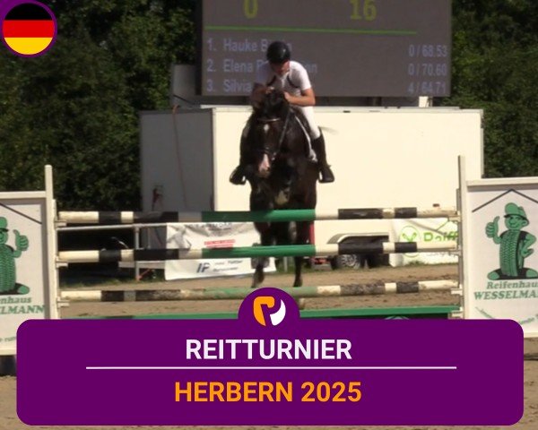 Reitturnier Herbern 2025