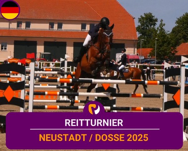 Reitturnier Neustadt/Dosse 2025