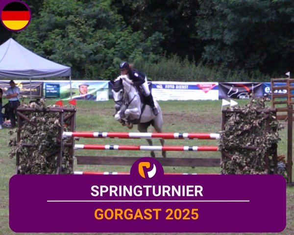 Reitturnier Gorgast 2025
