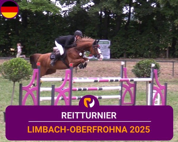 Reitturnier Limbach-Oberfrohna 2025