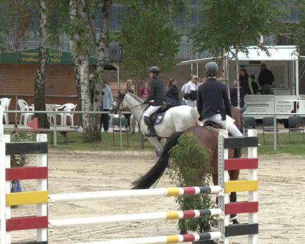 Reitturnier Herbern 2025