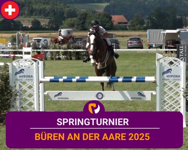 Reitturnier Büren an der Aare 2025