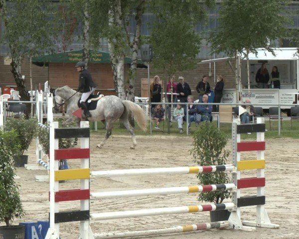 Reitturnier Herbern 2025