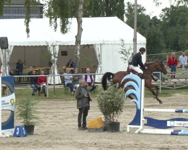 Reitturnier Herbern 2025