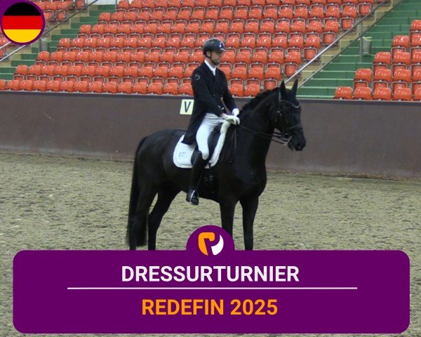Reitturnier Redefin 2025