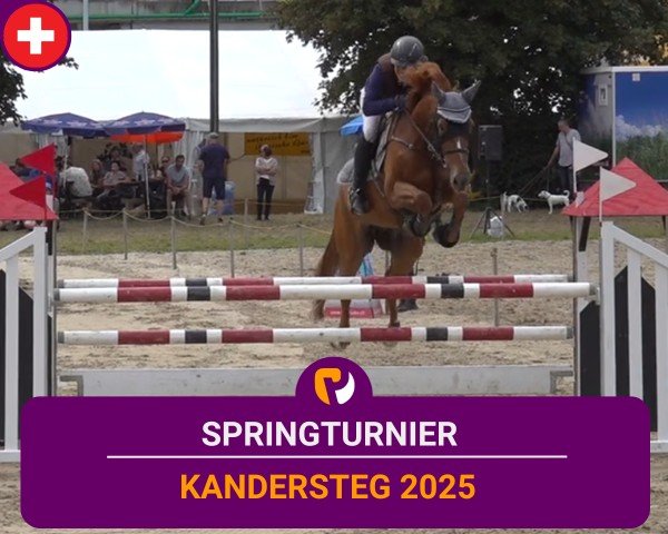 Reitturnier Kandersteg 2025
