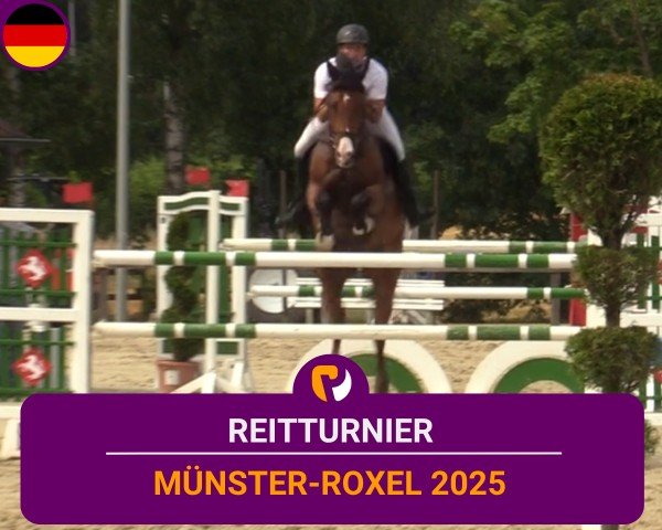 Reitturnier Münster-Roxel 2025