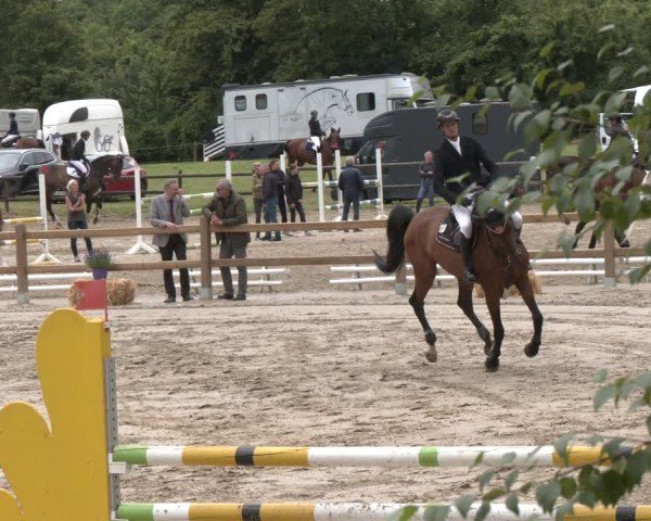 Reitturnier Herbern 2025