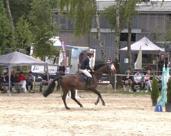Reitturnier Herbern 2025