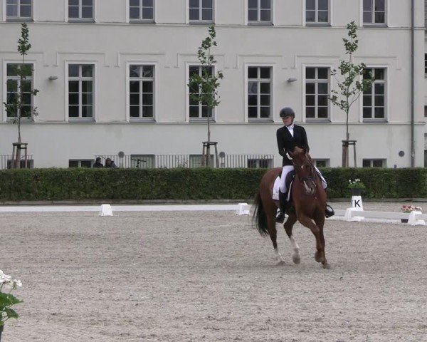 Reitturnier Neustadt/Dosse 2025