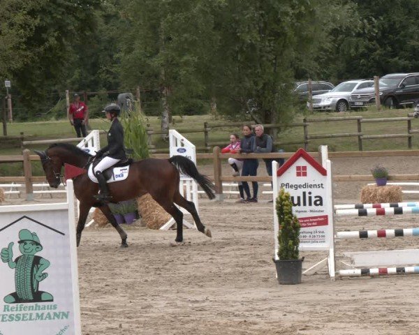 Reitturnier Herbern 2025