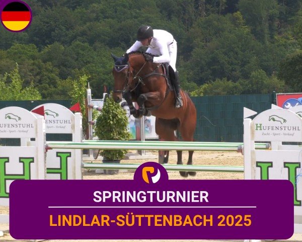 Reitturnier Lindlar-Süttenbach 2025