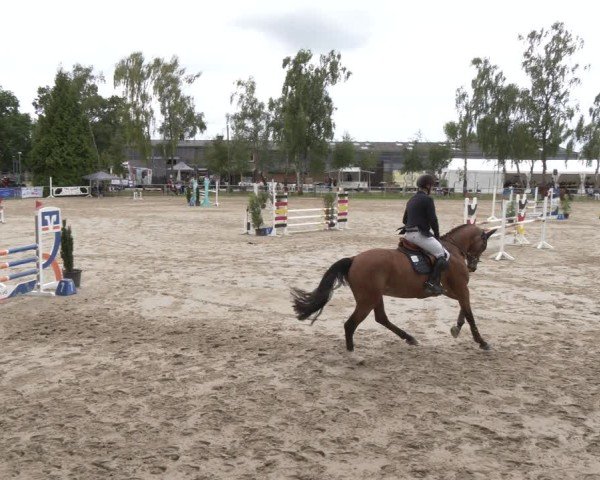 Reitturnier Herbern 2025