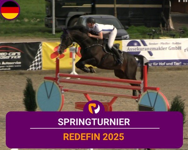 Reitturnier Redefin 2025