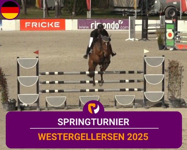 Reitturnier Westergellersen 2025