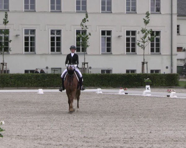 Reitturnier Neustadt/Dosse 2025