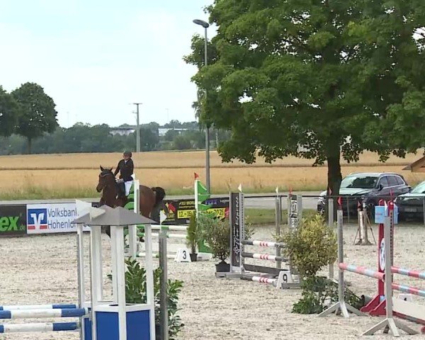 Reitturnier Rot am See- Musdorf 2025