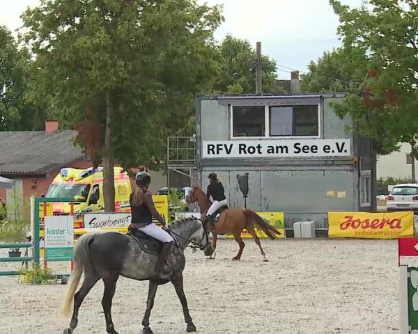Reitturnier Rot am See- Musdorf 2025