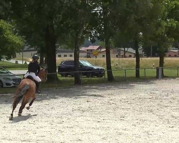 Reitturnier Rot am See- Musdorf 2025