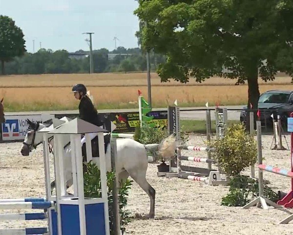 Reitturnier Rot am See- Musdorf 2025