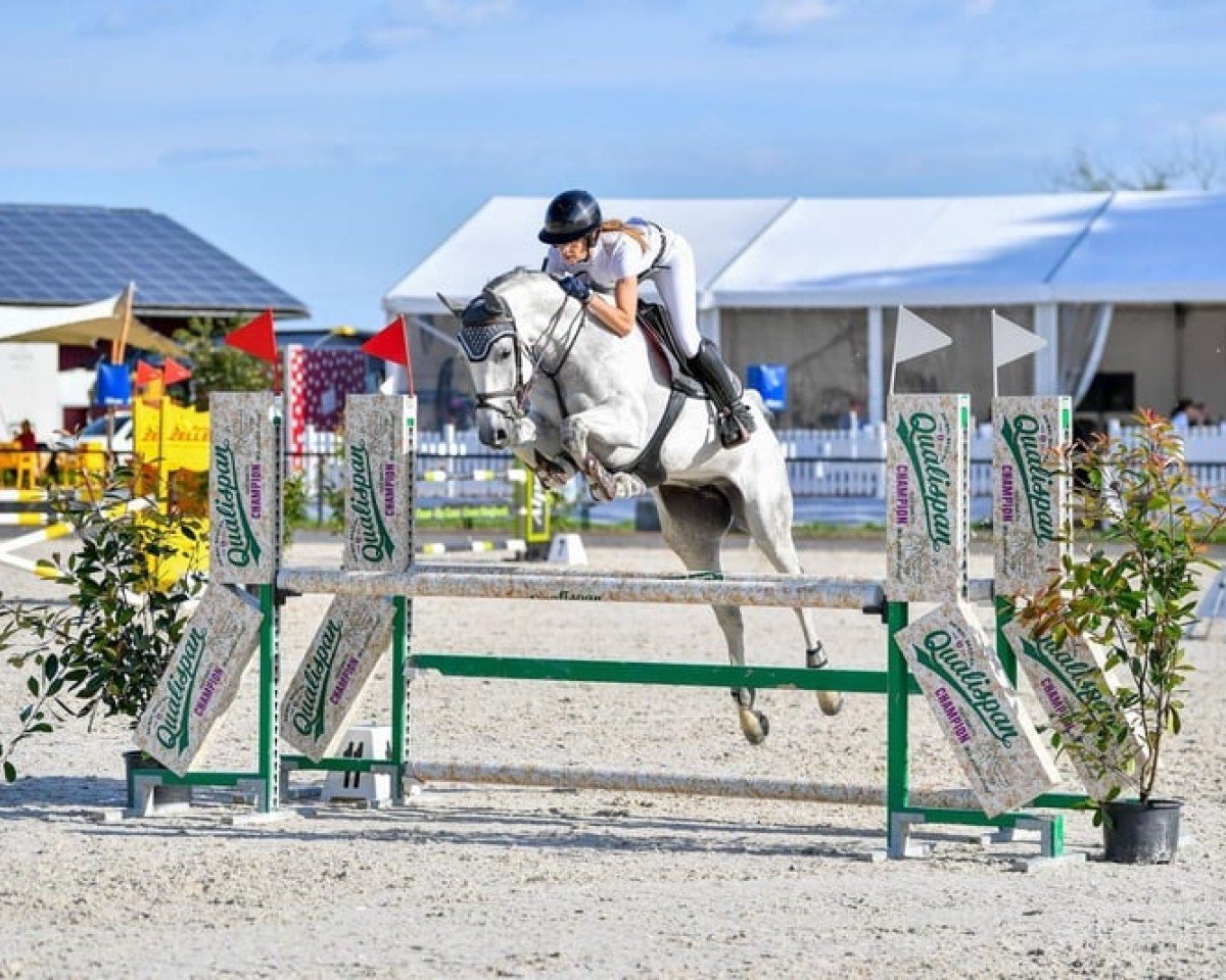 jumper Cembra 3 (Hanoverian, 2018, from K.i Checkter)
