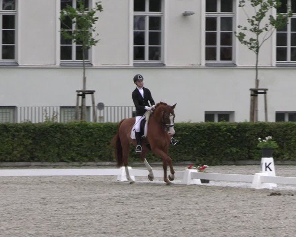 Reitturnier Neustadt/Dosse 2025