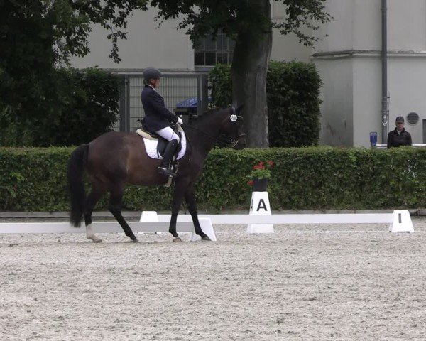 Reitturnier Neustadt/Dosse 2025