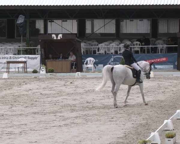 Reitturnier Vlotho-Exter 2025