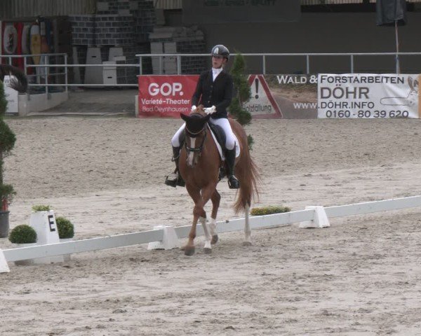 Reitturnier Vlotho-Exter 2025