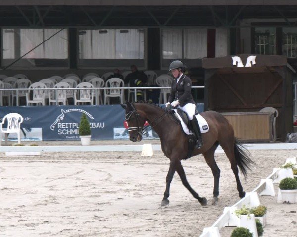 Reitturnier Vlotho-Exter 2025