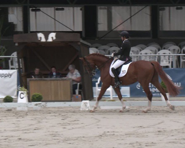 Reitturnier Vlotho-Exter 2025