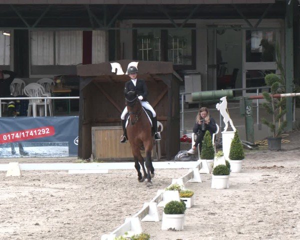 Reitturnier Vlotho-Exter 2025