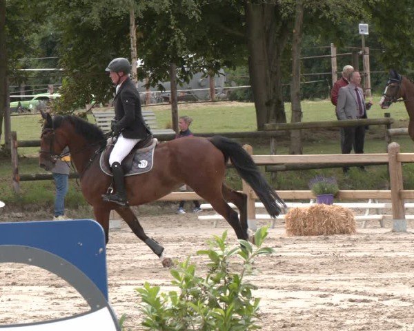 Reitturnier Herbern 2025