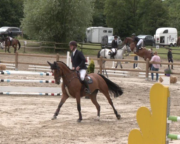 Reitturnier Herbern 2025