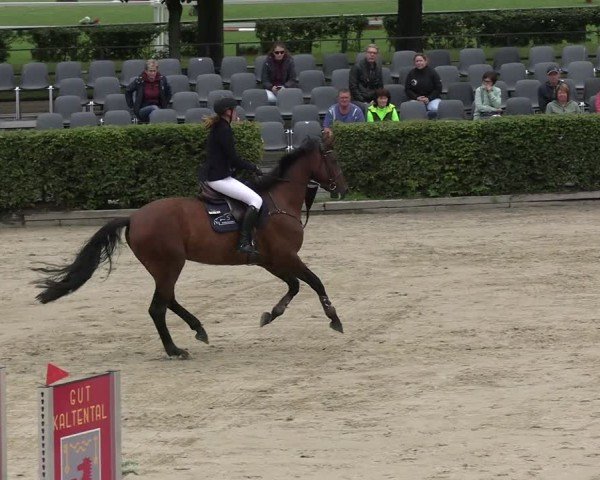 Reitturnier Neustadt/Dosse 2025