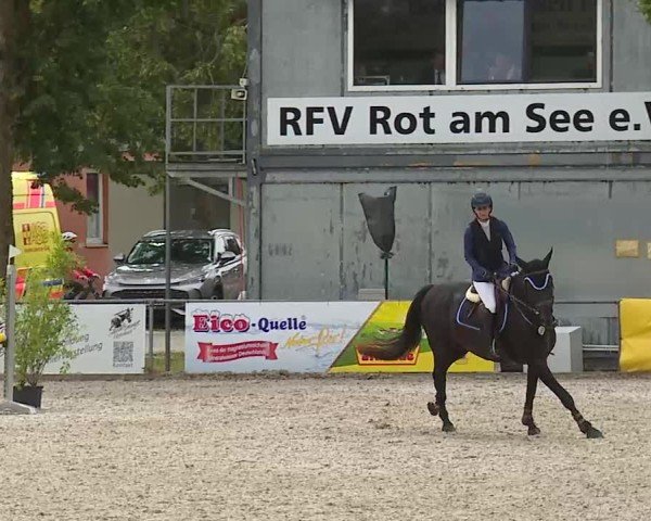 Reitturnier Rot am See- Musdorf 2025