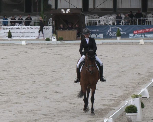 Reitturnier Vlotho-Exter 2025