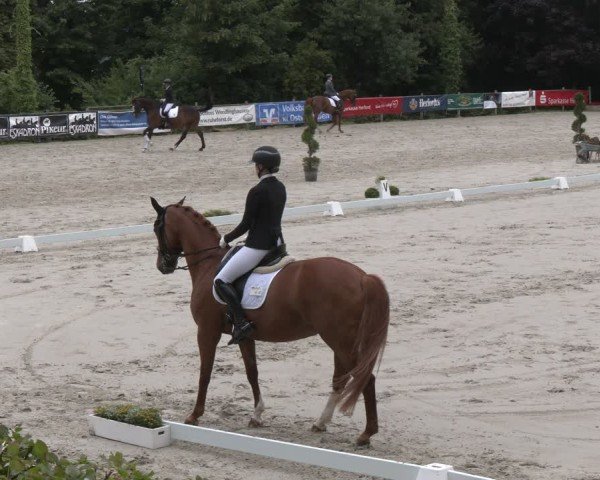 Reitturnier Vlotho-Exter 2025