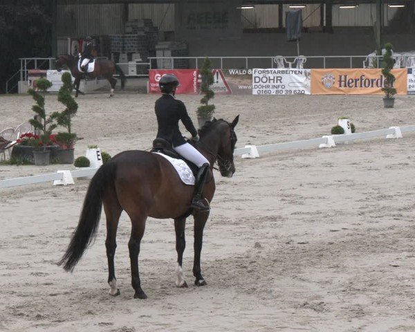 Reitturnier Vlotho-Exter 2025