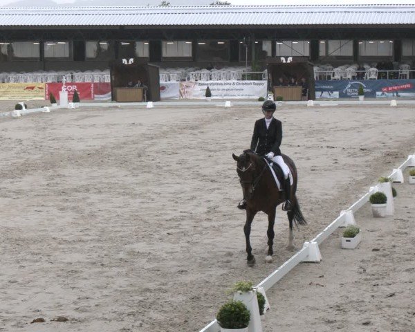 Reitturnier Vlotho-Exter 2025