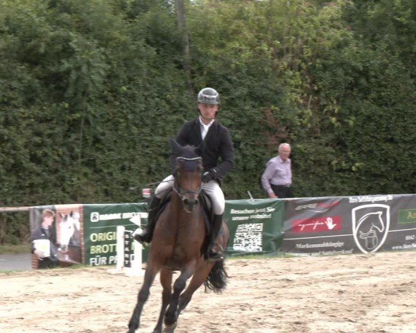 Reitturnier Herbern 2025