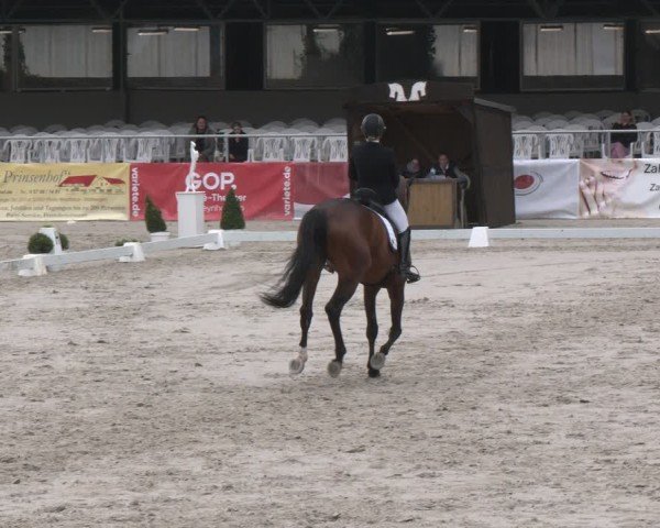 Reitturnier Vlotho-Exter 2025