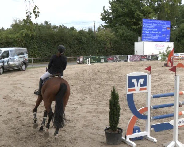 Reitturnier Herbern 2025