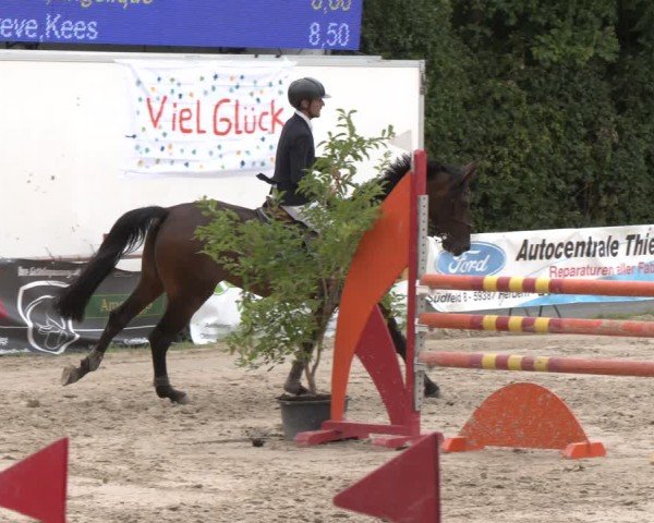 Reitturnier Herbern 2025
