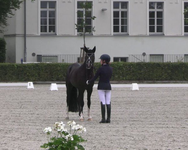 Reitturnier Neustadt/Dosse 2025