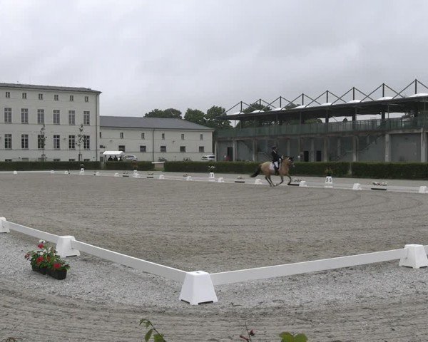 Reitturnier Neustadt/Dosse 2025
