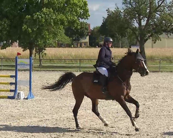 Reitturnier Rot am See- Musdorf 2025