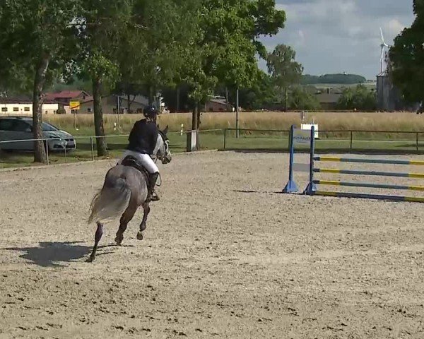 Reitturnier Rot am See- Musdorf 2025