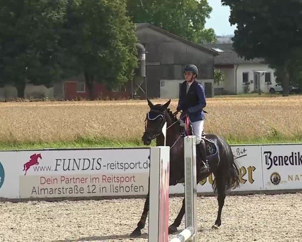 Reitturnier Rot am See- Musdorf 2025