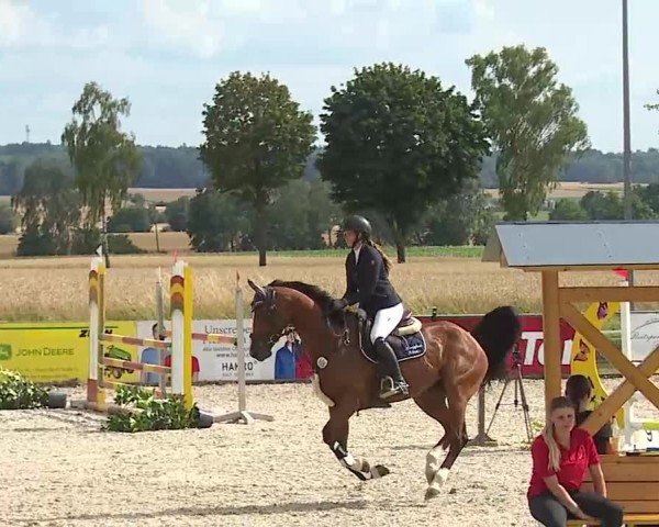Reitturnier Rot am See- Musdorf 2025